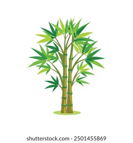 An illustration of a beautiful bamboo plant with leaves for your design