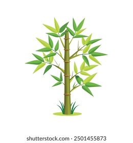 An illustration of a beautiful bamboo plant with leaves for your design