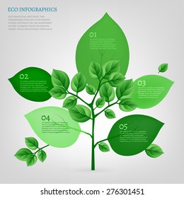 The illustration of beautiful bio infographics with leaves and tree. Ecology concept. Vector image.