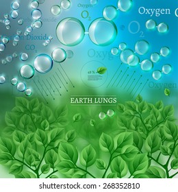 The illustration of beautiful bio infographics with water cycle scheme. Ecology set with oxygen, water and carbon dioxyde molecules.