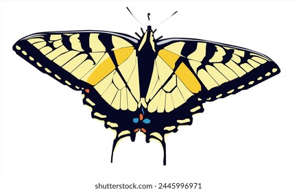 illustration of a beautiful black and orange butterfly on a white background