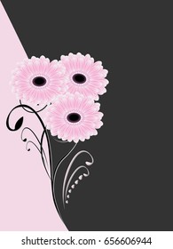 Illustration of a beautiful black and pink floral background with gerberas.