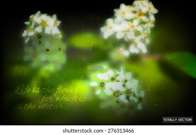 The illustration of  beautiful blooming bird-cherry tree branch background. Creative and unique graphic style. Totally vector image.