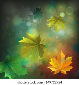 The illustration of  beautiful bokeh background. Vector image.