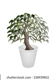 An Illustration of Beautiful Bonsai Tree in A Flowerpot for Garden Decoration 