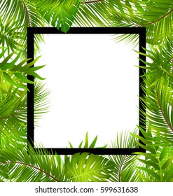 Illustration Beautiful Border with Tropical Palm Leaves, Summer Frame - Vector