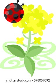 Illustration of beautiful brassica