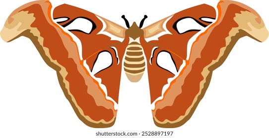 illustration of a beautiful and bright colorful tropical butterfly with spread wings and flying supported on a white background