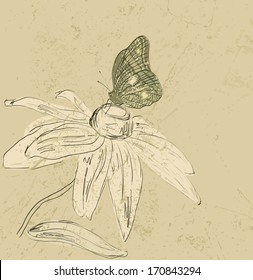 Illustration of beautiful butterflies flying around flower.