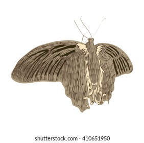 Illustration of beautiful butterfly flying around flower.