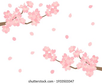 It is an illustration of a beautiful cherry blossom.