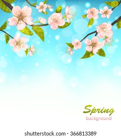 Illustration Beautiful Cherry Blossom, Branches of Tree, Natural Glowing Background - Vector