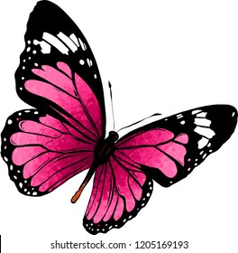 illustration of a beautiful colorful butterfly that flies