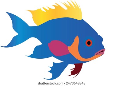 illustration beautiful colorful fish, vector image 