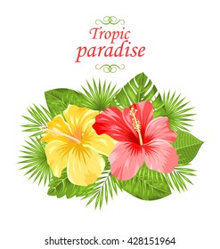 Illustration Beautiful Colorful Hibiscus Flowers Blossom and Tropical Leaves, Isolated on White Background - Vector