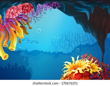 Illustration the beautiful coral