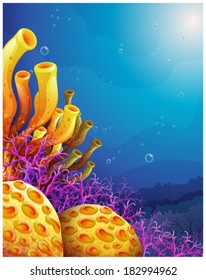 Illustration of the beautiful corals under the sea on a white background