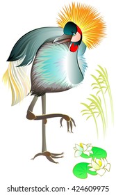 Illustration of beautiful crowned crane, vector cartoon image.