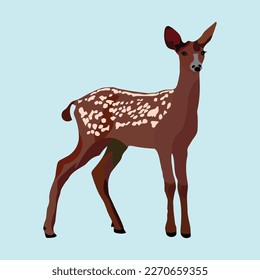 Illustration of a beautiful and cute babby deer