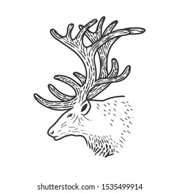 Illustration of beautiful deer. Black and white vector objects.