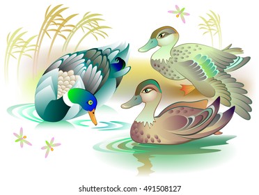 Illustration of beautiful ducks family swimming in a pond, vector cartoon image.