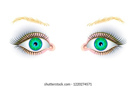Illustration of beautiful expressive female eyes on white background. Advertising poster for the cosmetics company and a beauty salon. Fashion business publishing. Modern print. Vector cartoon image.