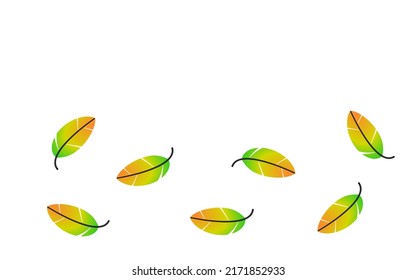 Illustration of a beautiful feather on a white background.