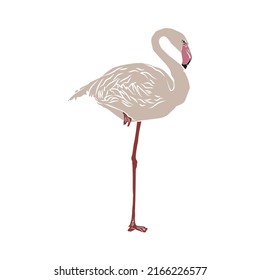 Illustration: Beautiful flamingo, used in general applications