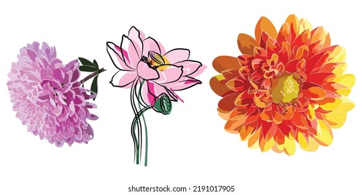 Illustration: Beautiful flower image, so cute.