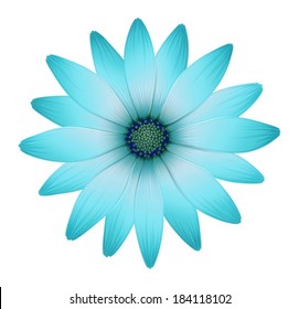 Illustration of a beautiful flower on a white background