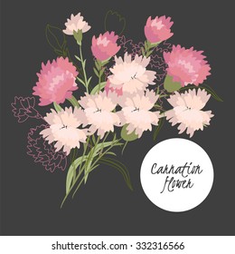 Illustration with beautiful flowers carnation. Vector