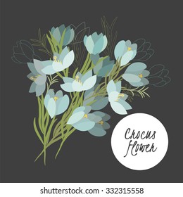 Illustration with beautiful flowers crocus. Vector