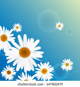 The illustration of beautiful flowers. Vector image.
