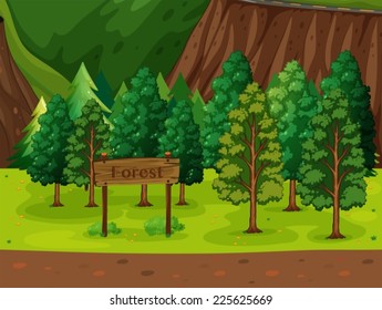 Illustration of a beautiful forest