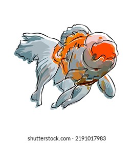 Illustration: Beautiful goldfish image, so cute.