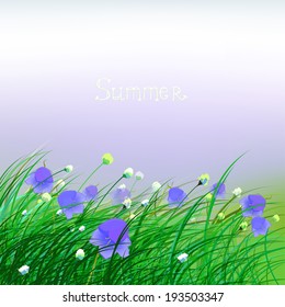 The illustration of  beautiful green grass with bellflowers. Vector image.