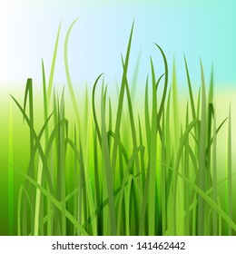The illustration of beautiful green grass. Vector image.