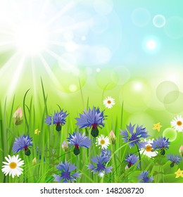 The illustration of  beautiful green meadow with flowers