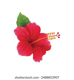 Illustration of beautiful hibiscus flower.