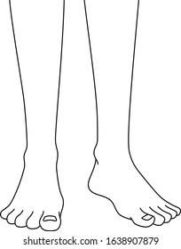 Illustration of beautiful Japanese woman legs, drawn in vector