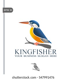 An illustration of beautiful Kingfisher bird
