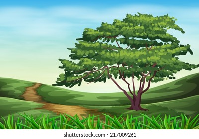 Illustration einer schönen Landschaft mit einem hohen Baum