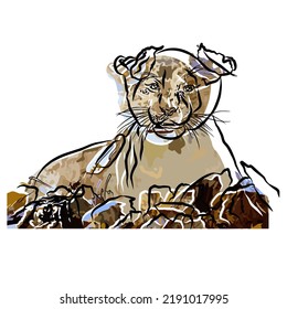 Illustration: Beautiful lion image, so cute.