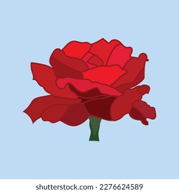 Illustration of a beautiful and Lovely rose