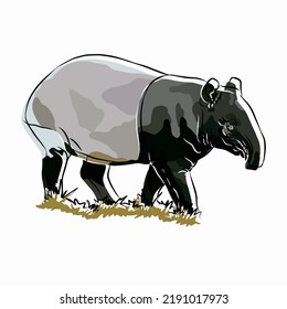 Illustration: Beautiful malayun tapir image.