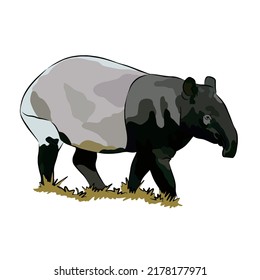 Illustration : Beautiful malayun tapir painting