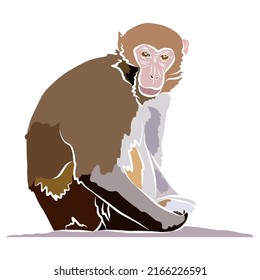 Illustration: Beautiful monkey portraits, used in general applications