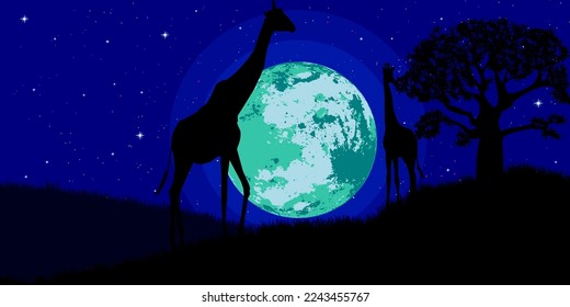 illustration of a beautiful night
