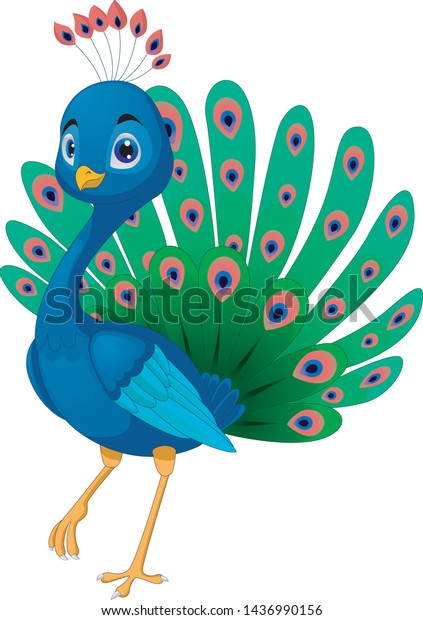 Illustration Beautiful Peacock Cartoon Stock Vector Royalty Free 1436990156 Shutterstock 5801