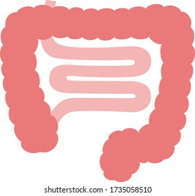 腸 の画像 写真素材 ベクター画像 Shutterstock